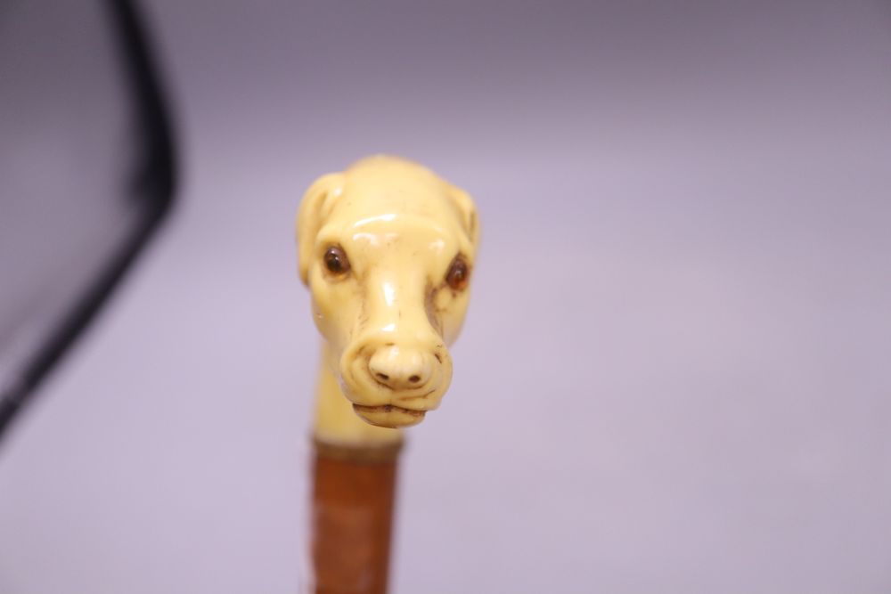 A carved ivory dogs head walking stick, c.1860, length 33cm